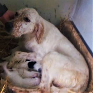 Mamma Criss delle Vallate
