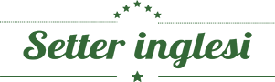 setteringlesi